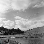 Duerley Beck, Gayle